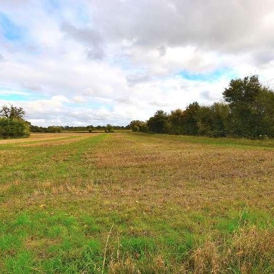 School Road, Rayne, Braintree, CM77 - Photo 1