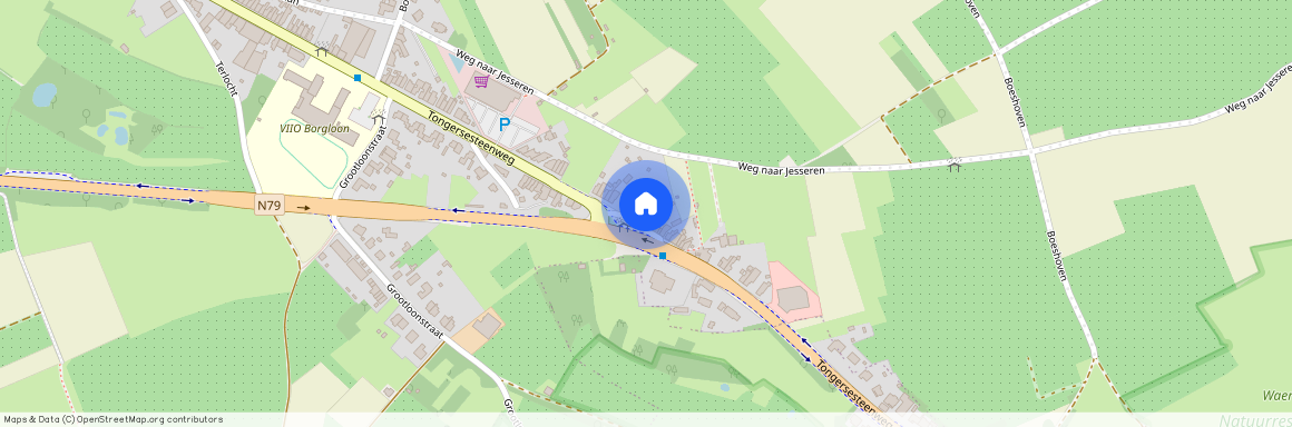 Tongersesteenweg 163, 3840 Borgloon