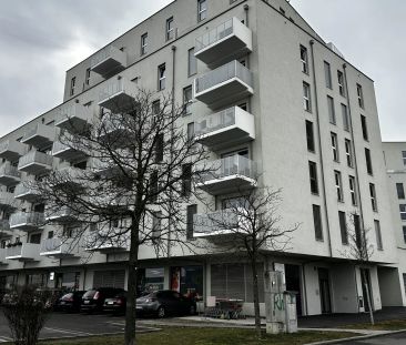 1220! Hübsche 1-Zimmer Wohnung mit Balkon nahe Badeteich Hirschstet... - Foto 2