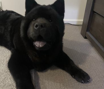 Narre Warren - Photo 6