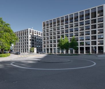 Appartement moderne de 2,5 pièces avec grande terrasse commune sur ... - Foto 3