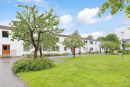 Holmingegränd, Spånga - Foto 5