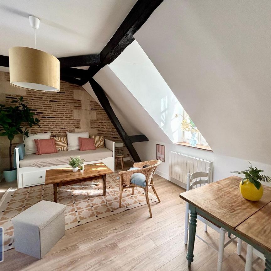 Location Appartement 1 pièce 19m² TOURS 37000 - Photo 1