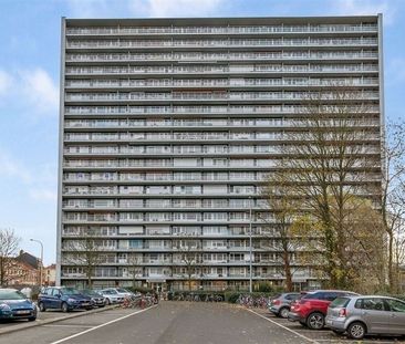 Appartement - Photo 3