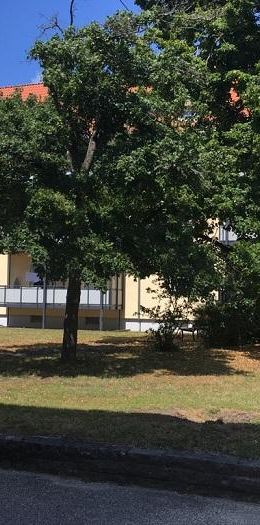 Sebald-Heyden-Str. 17, 90469 Nürnberg OT Gartenstadt - Foto 1