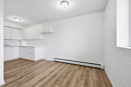 For Lease - 19 Manchester Avenue Unit# 301, St. Catharines, Ontario - Photo 4