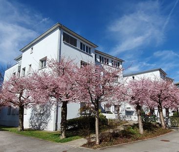 Wohnen im Herzen von Wil - helle 3.5 ZW Attika mit behaglicher Atmo... - Photo 2