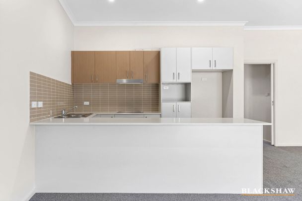 17/31 Thynne Street, Bruce ACT 2617 - Apartment For Rent | Domain - Photo 1