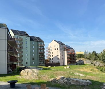 Kryddvägen, Angered - Foto 2