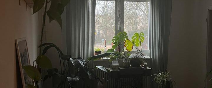 UNTERMIETE 2 Zimmer Wohnung Nahe S Bahnhof Greifswalder Str - Photo 1