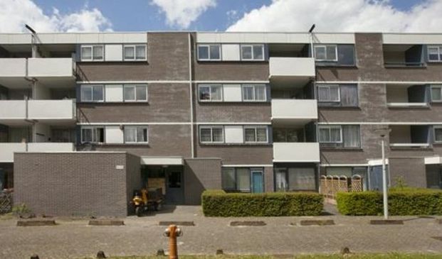 Renkumhof 0ong, 1106 JB Amsterdam, Nederland - Foto 1