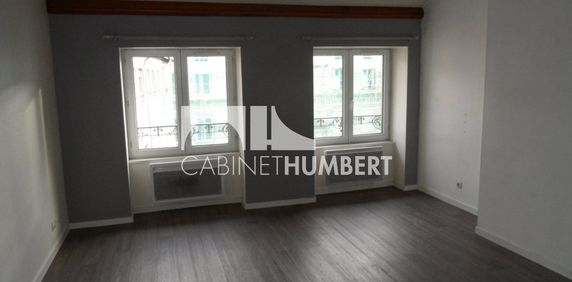 Location Appartement 1 pièce 31m² ST ETIENNE 42000 - Photo 2