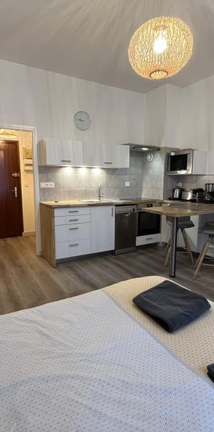 Location Appartement 1 pièce Meublé 24m² AIX LES BAINS 73100 - Photo 1