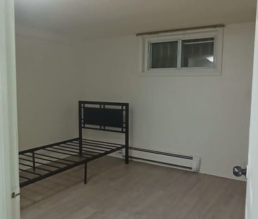 For Lease - 571 Danforth Road Unit# Basement, Toronto, Ontario - Photo 4