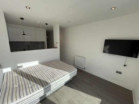 Studio Flat, Alma Street, S3 - Photo 1