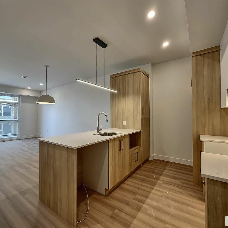 Appartement / Condo - Grand 3 1/2 / stationnement intérieur inclus / 1 mois payé - Photo 1