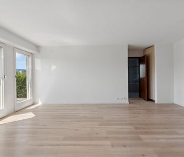 APPARTEMENT À LOUER DANS QUARTIER TRÈS ENSOLEILLÉ ET FAMILIAL - Photo 2