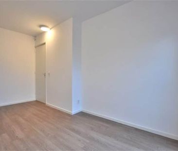 Graviuspad - Photo 3