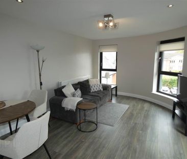 Apt 2, 223a Belmont Road, Belfast, BT4 2AH - Photo 2