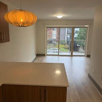 Pet Friendly Studio Apartment($500 off First Month) - Photo 4