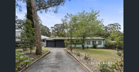 Marvellous Monty - Photo 2