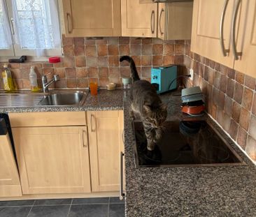 4 Zimmer, 86 m² - Photo 3