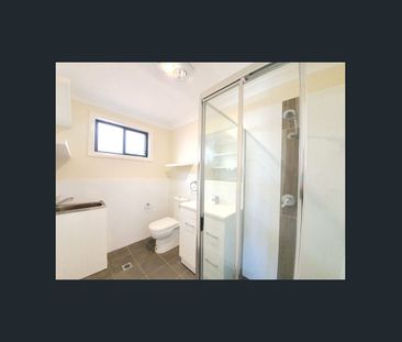 Great Size! - Photo 5