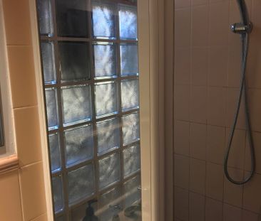 Surry Hills - Photo 4