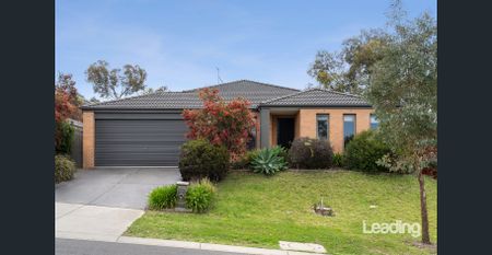 Warning: You May Fall in Love with Langport! - Photo 5