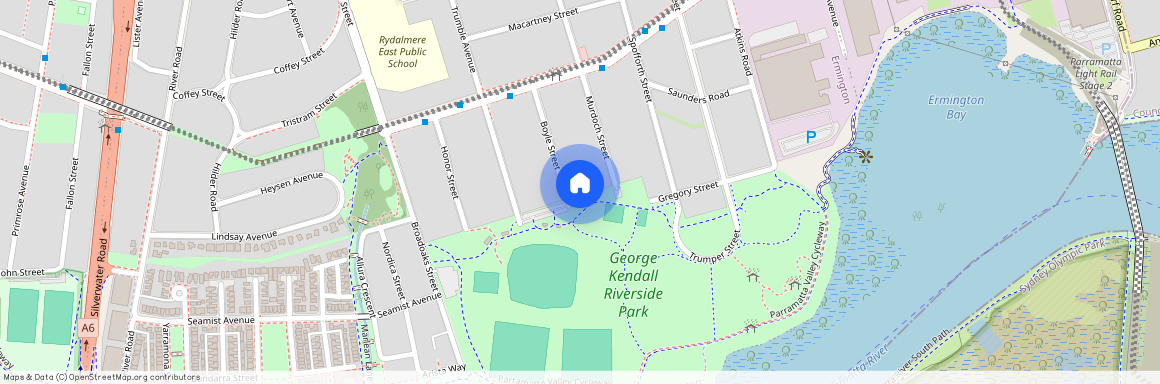 29 Boyle Street, NSW 2115, Ermington