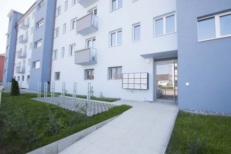 2 Zimmer, 49 m², 1. Stock - Photo 3