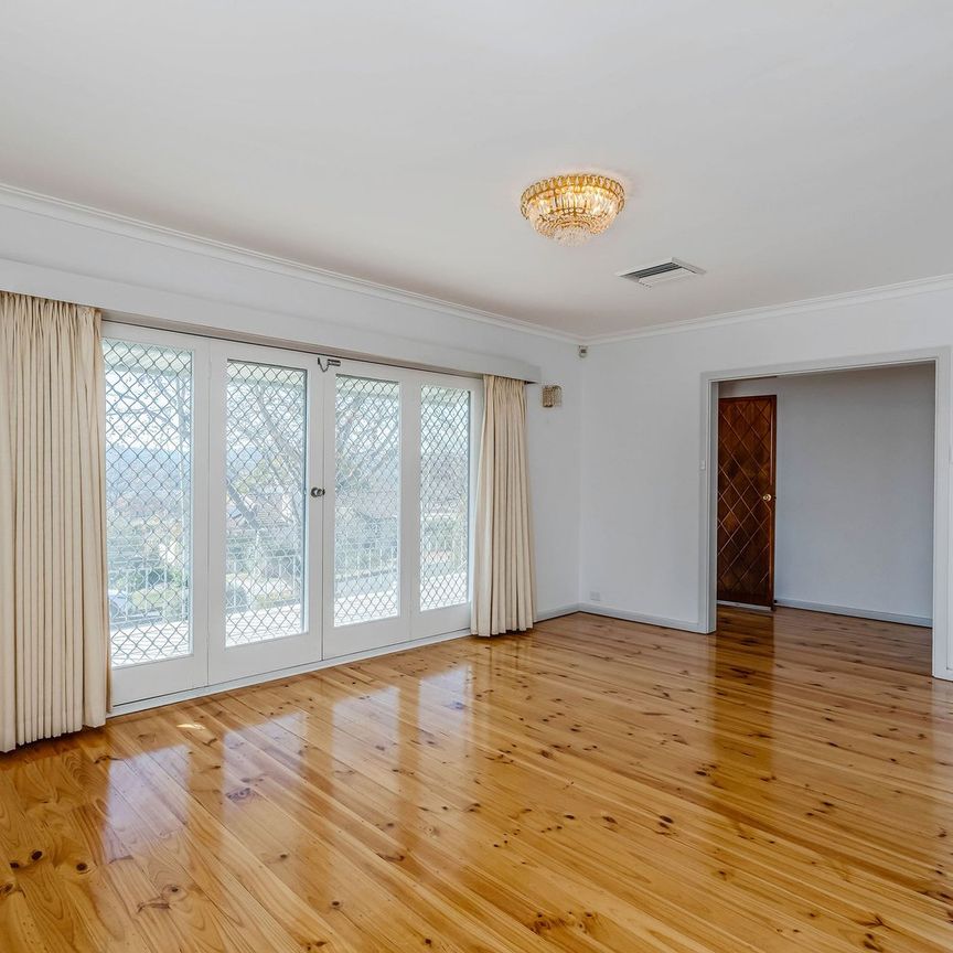 8 Haines Street, Curtin ACT 2605 - House For Rent | Domain - Photo 1