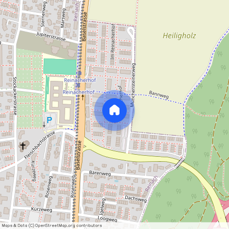 Im Reinacherhof 71-79, 4153 Reinach BL, Lageplan
