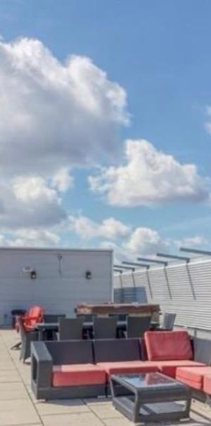 Magnifique 3 1/2 à louer - Photo 1