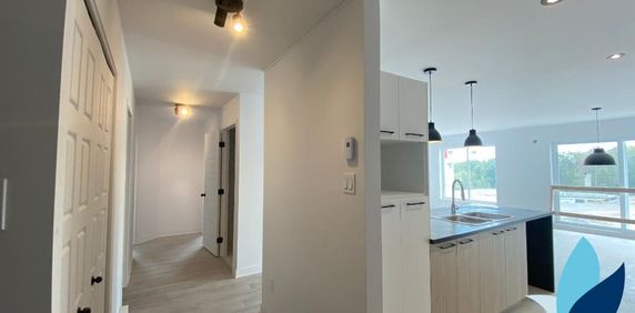 Logement 5 1/2 - janvier 2026 - Saint-Jérôme - Photo 2