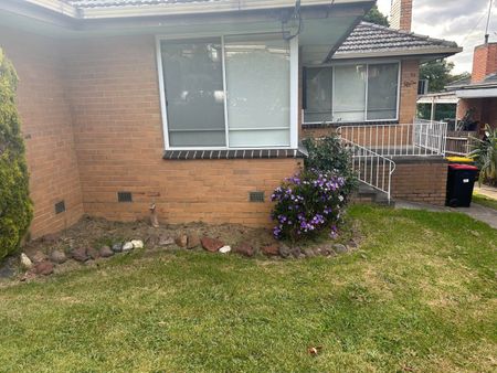 Heidelberg - Photo 4