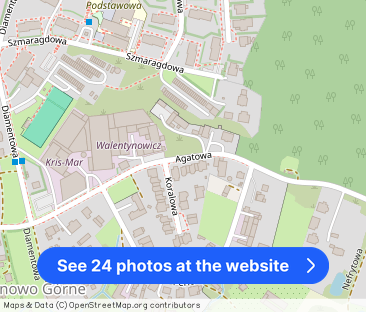 Luksusowy dom na wynajem pod Elblągiem - Photo 1