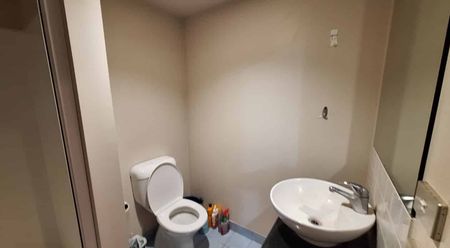 Auckland CBD – Cozy Comfort Meets Urban Convenience - Photo 4