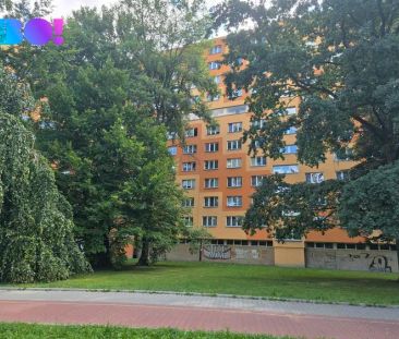 Pronájem bytu 1+1 Ostrava - Hrabůvka, ul. Fr. Hajdy - Photo 4