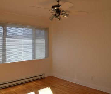 10759 Av. De Lorimier, H2B 2J6, H2B 2J6, Montréal - Photo 2