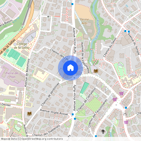 Avenue Victor-Ruffy 37, 1012 Lausanne