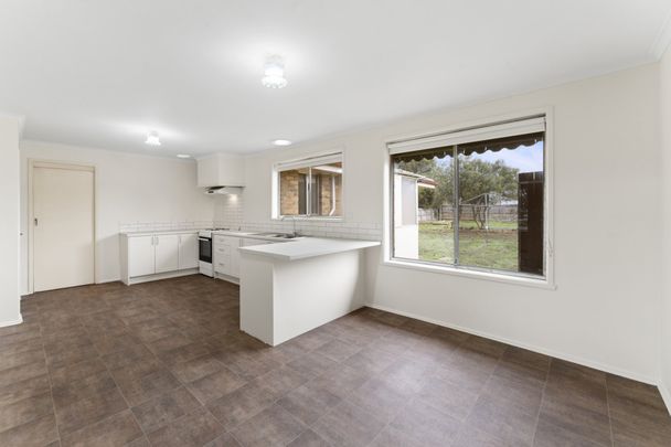 Freshly Updated Family Home in a Prime Central Location - Photo 1