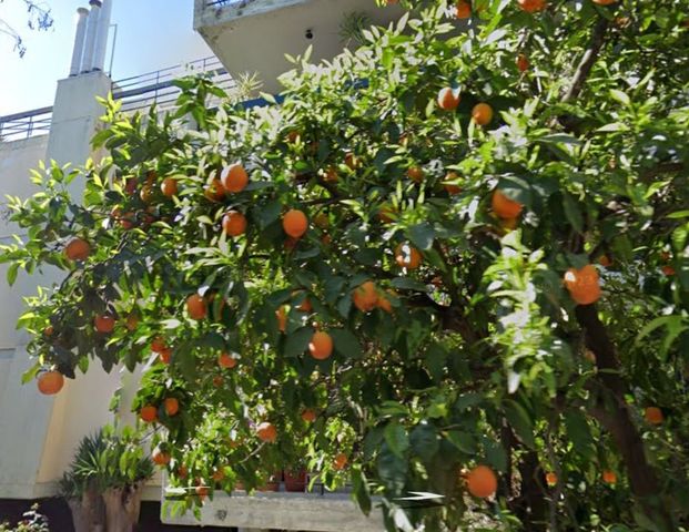 Διαμέρισμα για ενοικίαση - Φιλοθέη, - Φωτογραφία 1