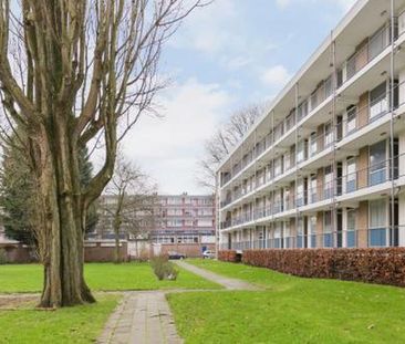 Ogierssingel 3076 CN Rotterdam - Foto 1