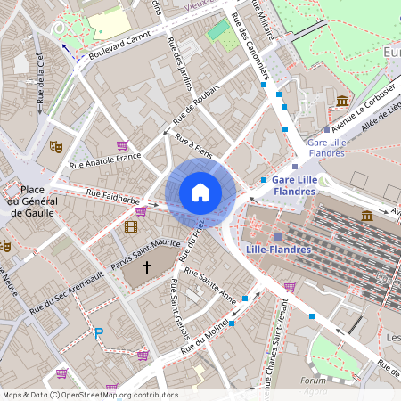 38 Rue du Priez, 59000, Lille