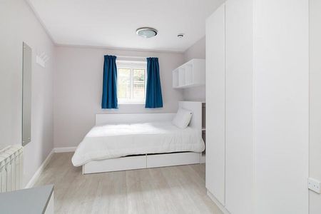 3 bedroom apartment to rent - Photo 5