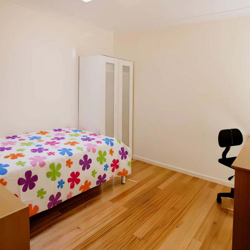 SH1 Small/Medium - Photo 1