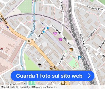 Central life at the Lyssbachpark - Foto 1