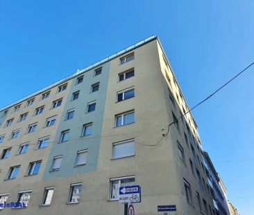 Tolle Terrassen – ruhige Wohnung – zuzüglich Heizung - Photo 4