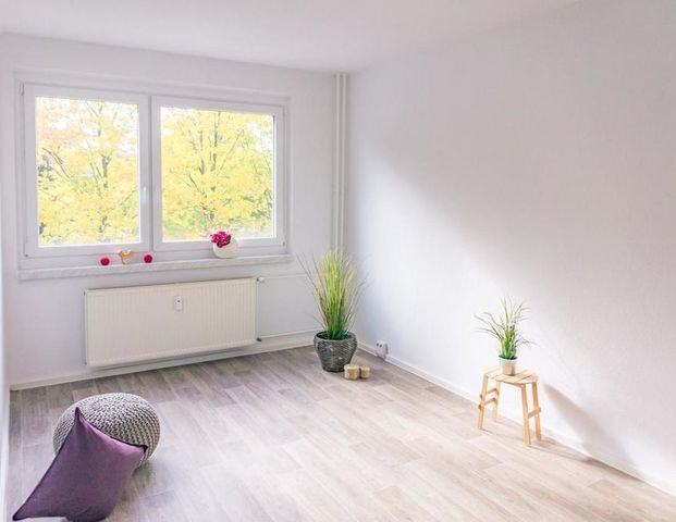 3-Raum-Wohnung - Foto 1